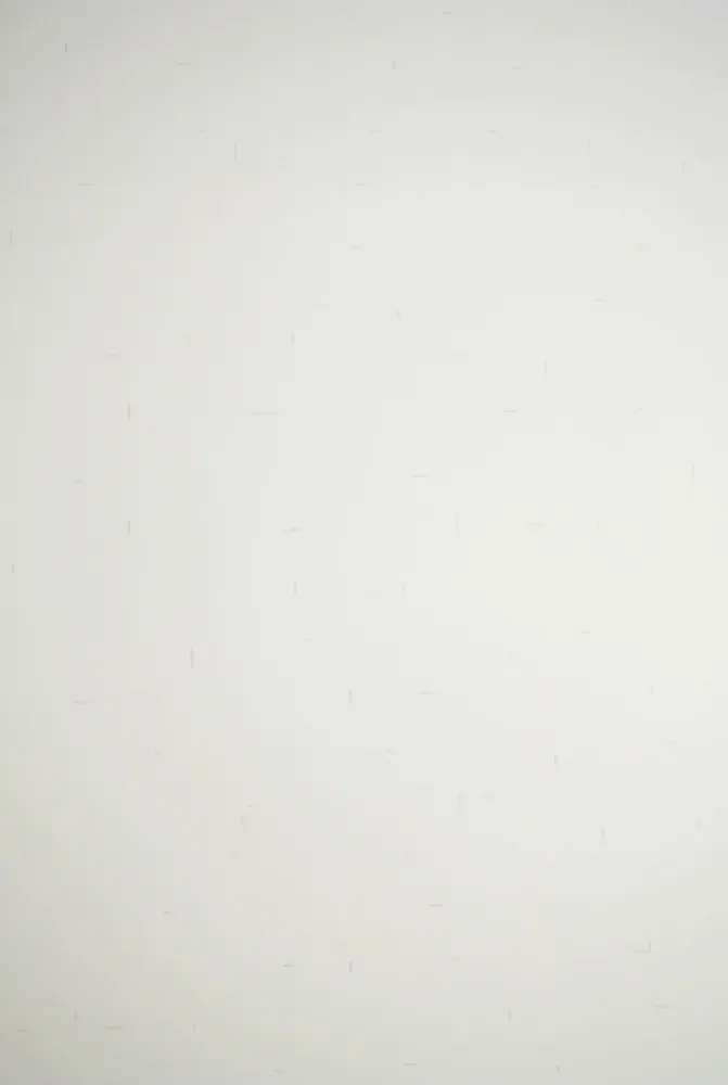 Lithografie Dadamaino - Senza titolo