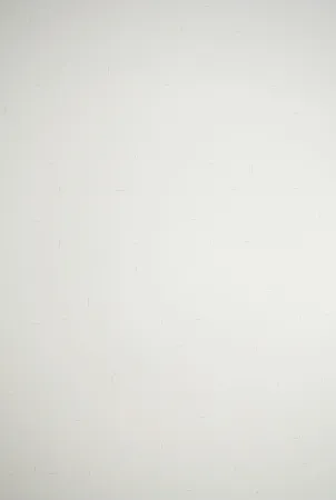 Lithografie Dadamaino - Senza titolo