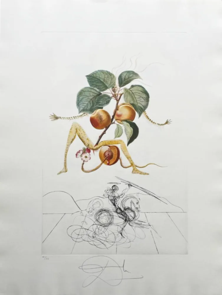 Lithografie Dali - Abricot chevalier (Apricot Knight)