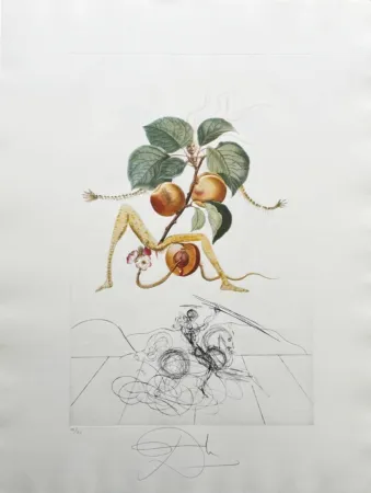 Lithografie Dali - Abricot chevalier (Apricot Knight)