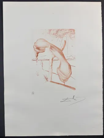 Gravure Dali - Album Soft Telephone