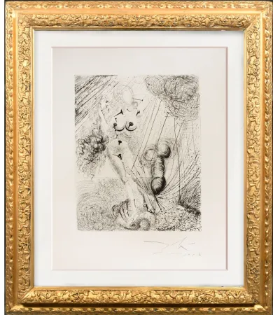 Droge Naald Dali - APHRODITE