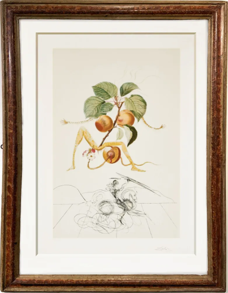 Reliëf Dali - Apricot  et chevalier