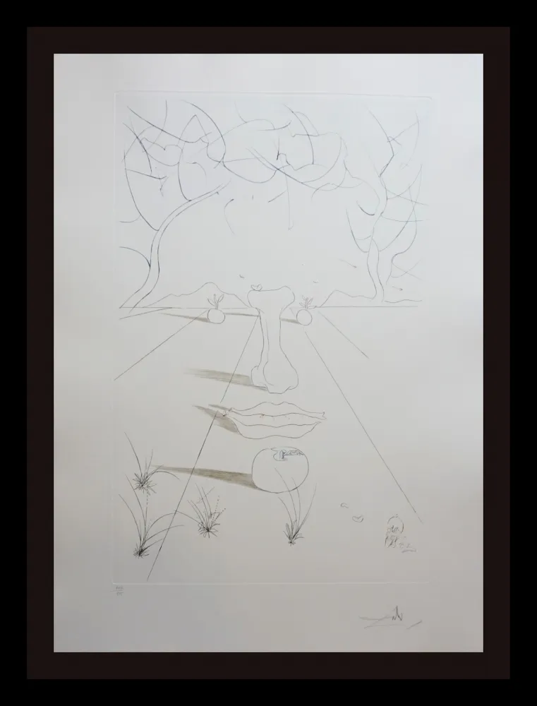 Gravure Dali - Aurelia Visage Surrealiste