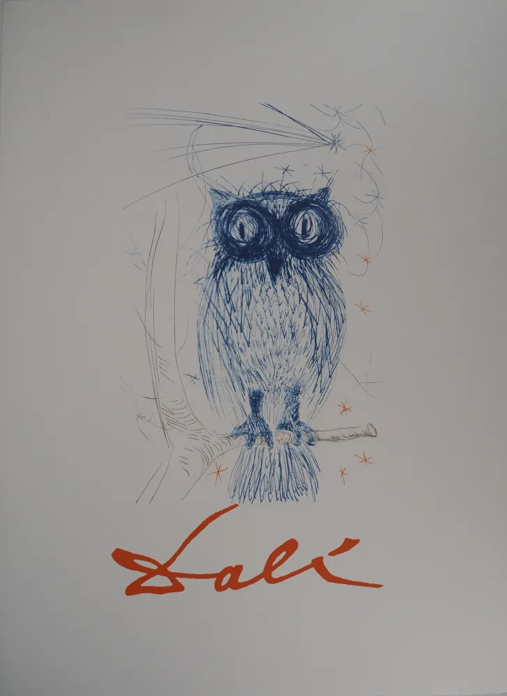 Lithografie Dali - Chouette bleue