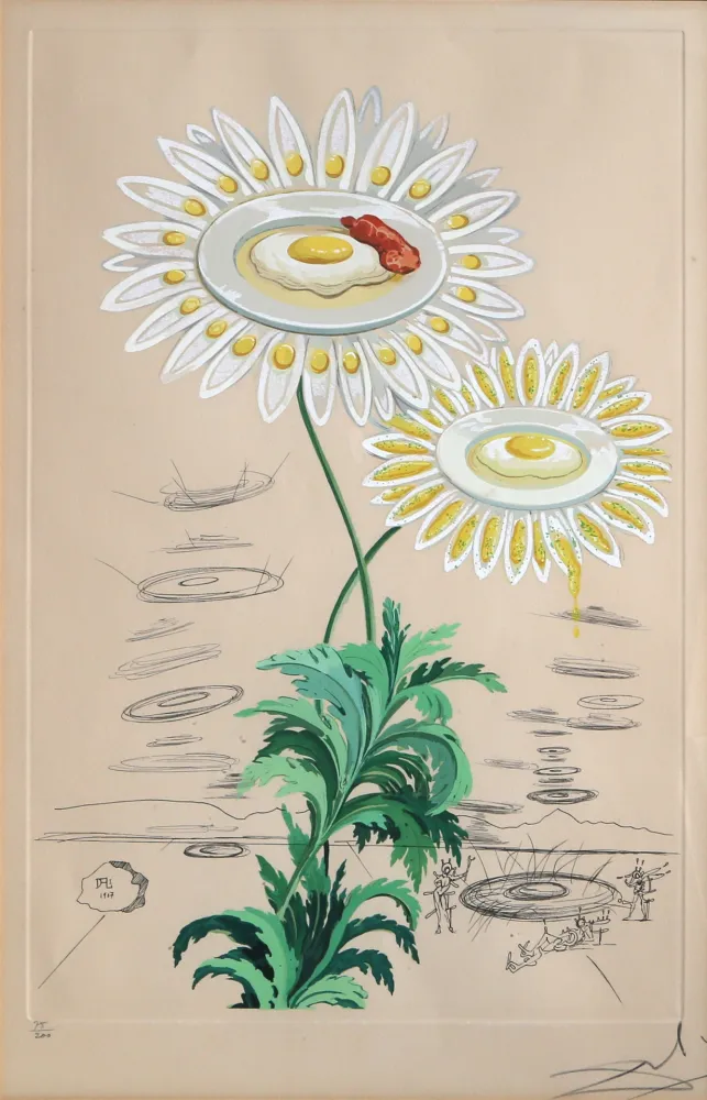 Gravure Dali - Chrysanthemum Frutescens