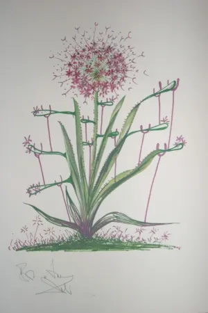 Lithografie Dali -  Desert Cactus (surrealistic flowers)