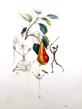 Lithografie Dali - Don Quixote Pear
