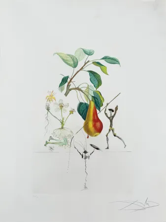 Lithografie Dali - Don Quixote Pear from Flordali suite