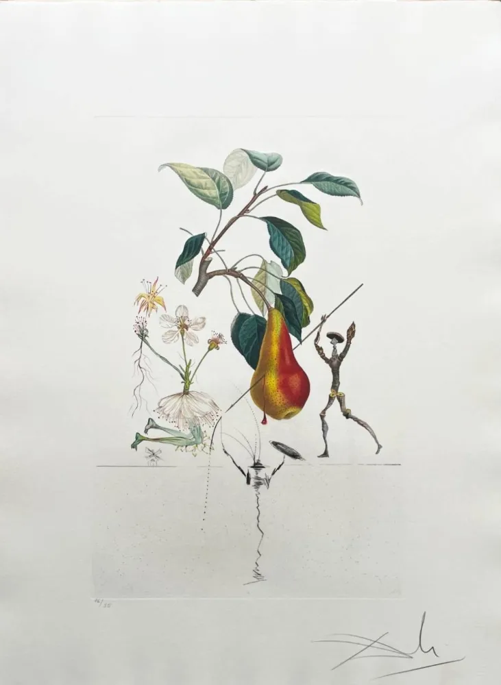 Lithografie Dali - Don Quixote Pear from Flordali suite