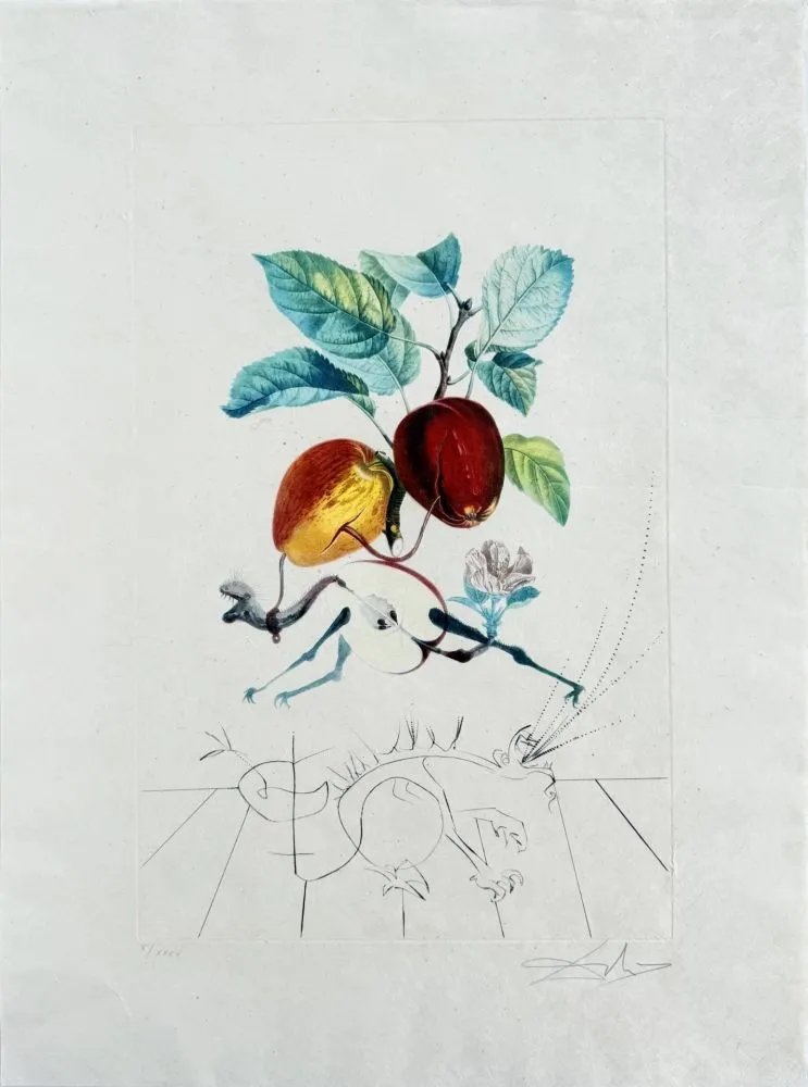 Lithografie Dali - Dragon Apple from Flordali suite