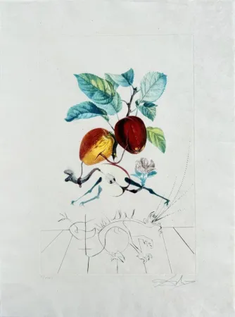 Lithografie Dali - Dragon Apple from Flordali suite