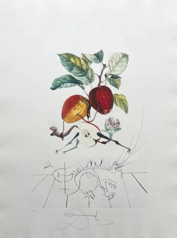 Lithografie Dali - Dragon Apple from Flordali suite