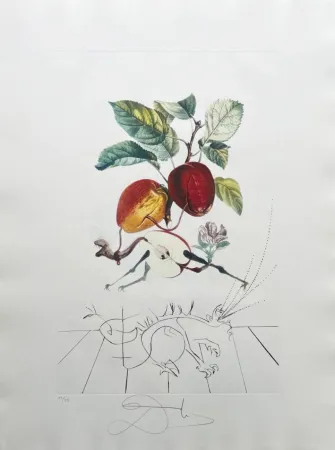 Lithografie Dali - Dragon Apple from Flordali suite
