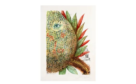 Ets En Aquatint Dali - FLEURS RÊVÉES. Portfolio complet. 7 estampes (1970)