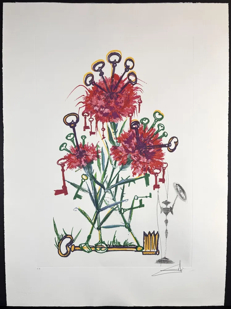 Gravure Dali - Florals Carnation Don Quixote