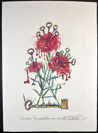 Gravure Dali - Florals Carnation Keys