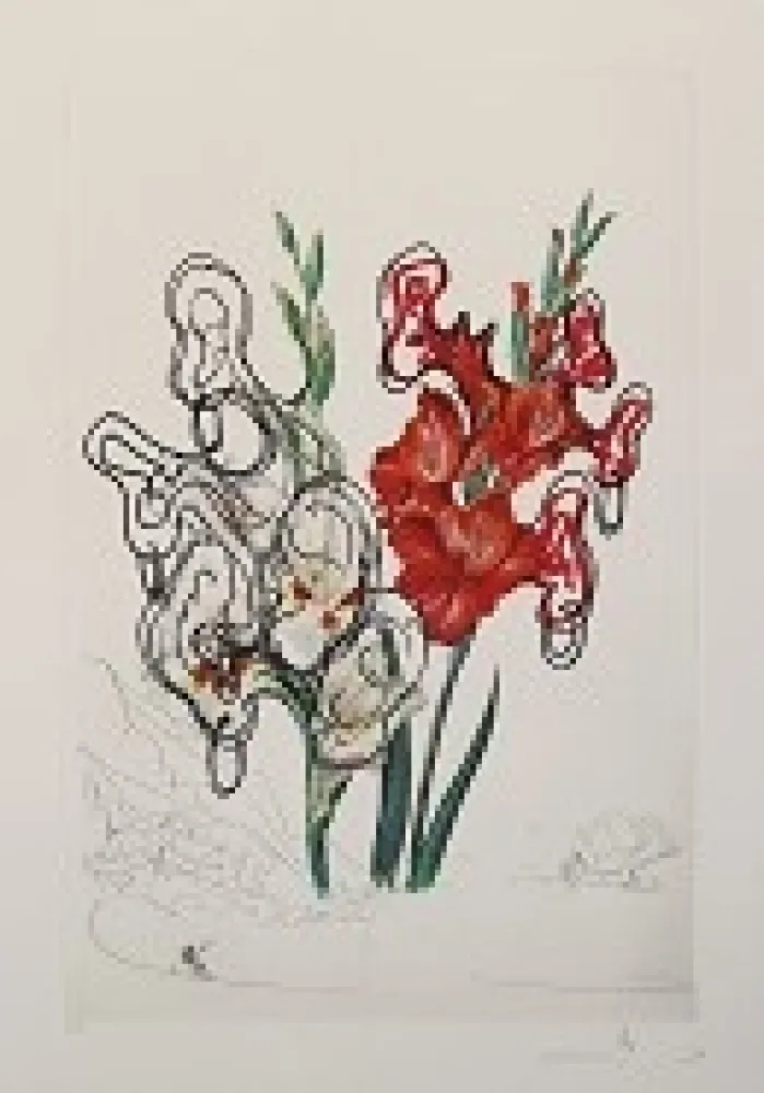 Lithografie Dali -  Florals; Gladiolus [ + EARS ] Custa Brava 1972