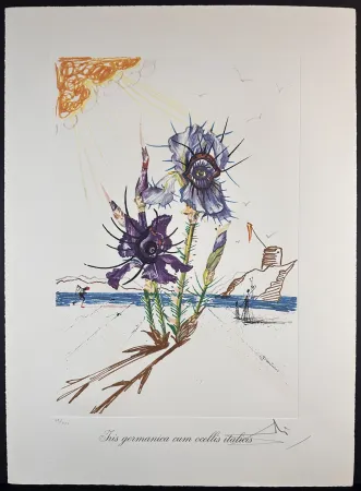 Gravure Dali - Florals Iris of Dali's Youth
