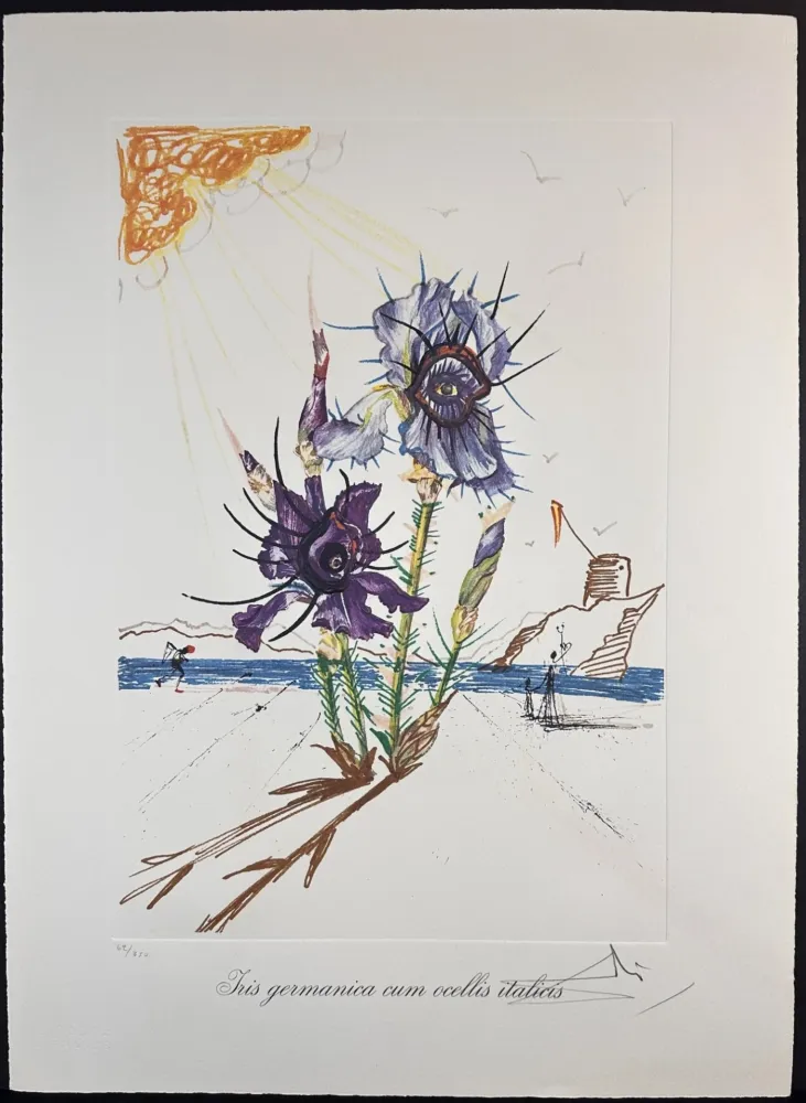 Lithografie Dali - Florals Iris of Dali's Youth