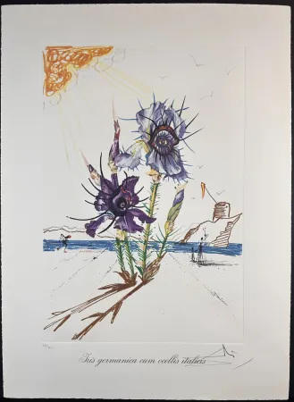 Lithografie Dali - Florals Iris of Dali's Youth