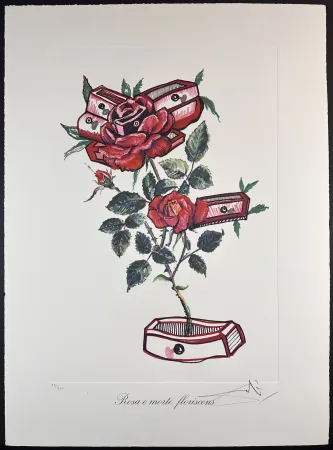 Gravure Dali - Florals Roses of Memory