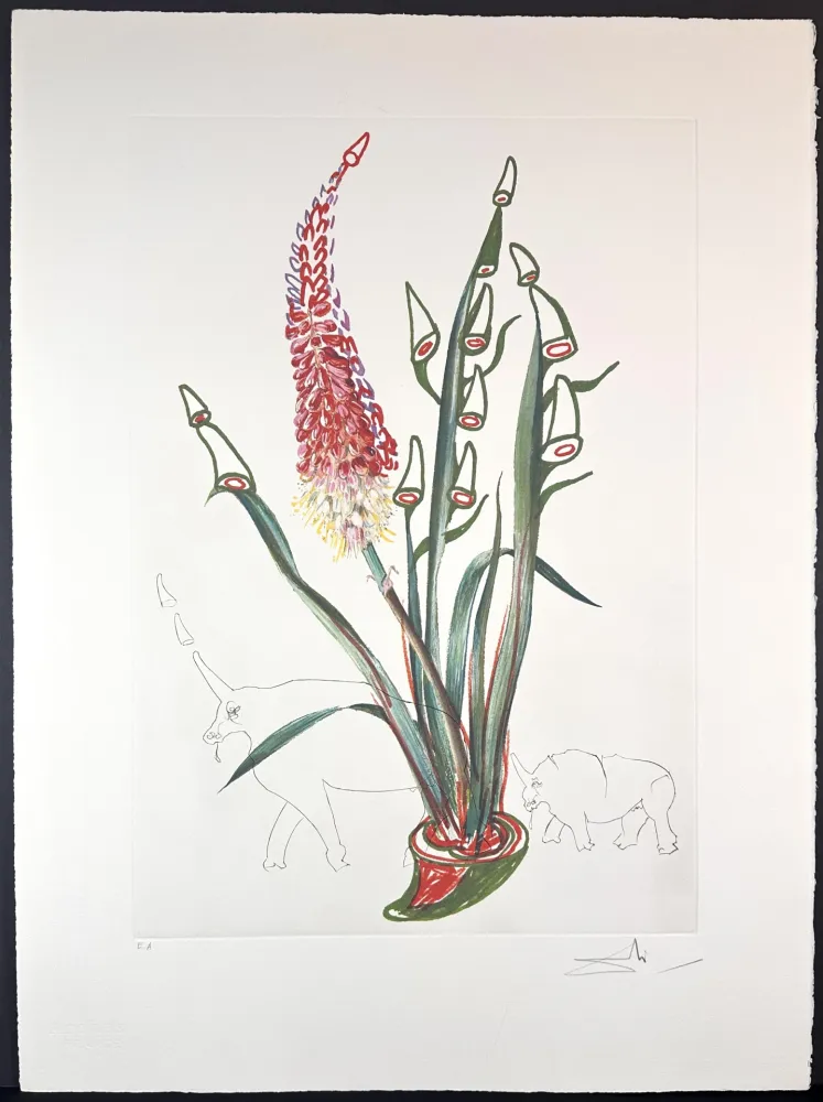 Gravure Dali - Florals Stock Rhinos