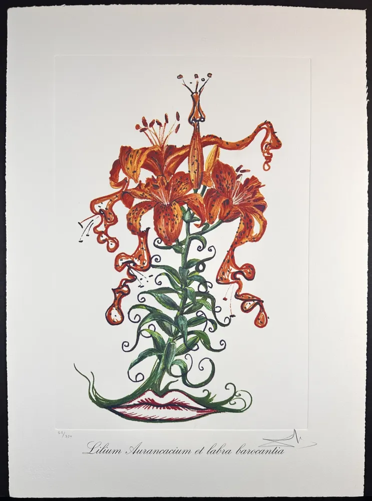 Gravure Dali - Florals Tiger Lilies of The Theatre