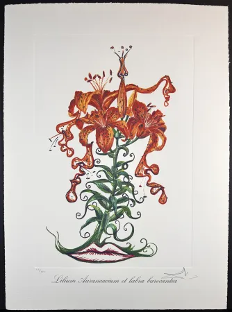 Gravure Dali - Florals Tiger Lilies of The Theatre