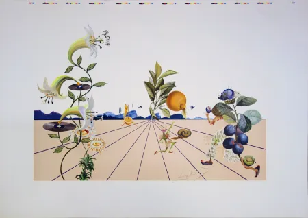 Lithografie Dali - Flordali