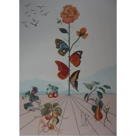 Lithografie Dali - Flordali II : la rose papillon