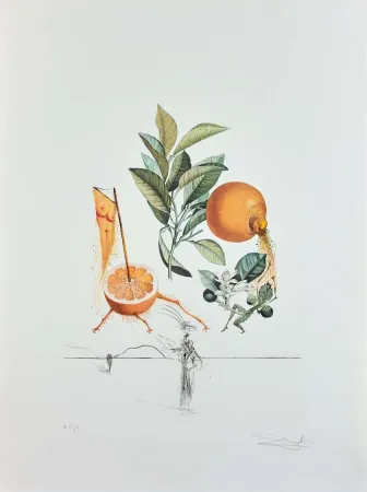 Gravure Dali - Flordali - Pamplemousse Erotique