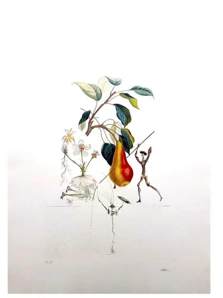Gravure Dali - Flordali - Poire Don Quixote