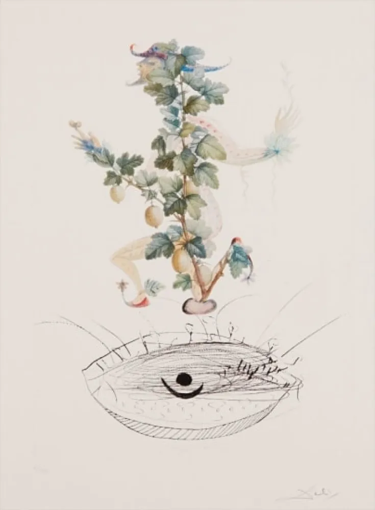 Gravure Dali - Flordali - Révérence du Groseiller