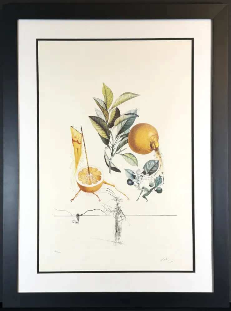 Gravure Dali - FlorDali/Les Fruits Grapefruit