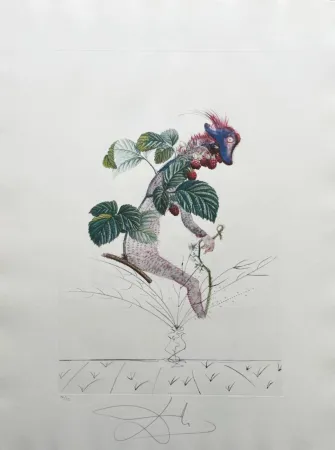 Lithografie Dali - Framboisier (Raspberry Bush)