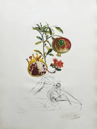Lithografie Dali - Grenade et l’ange (Pomegranate and Angel)