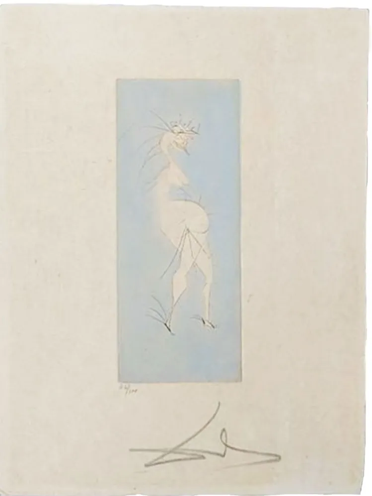 Droge Naald Dali - Grotesque