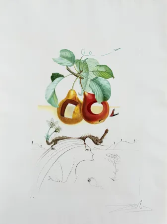 Lithografie Dali - Holed Fruit from Flordali suite