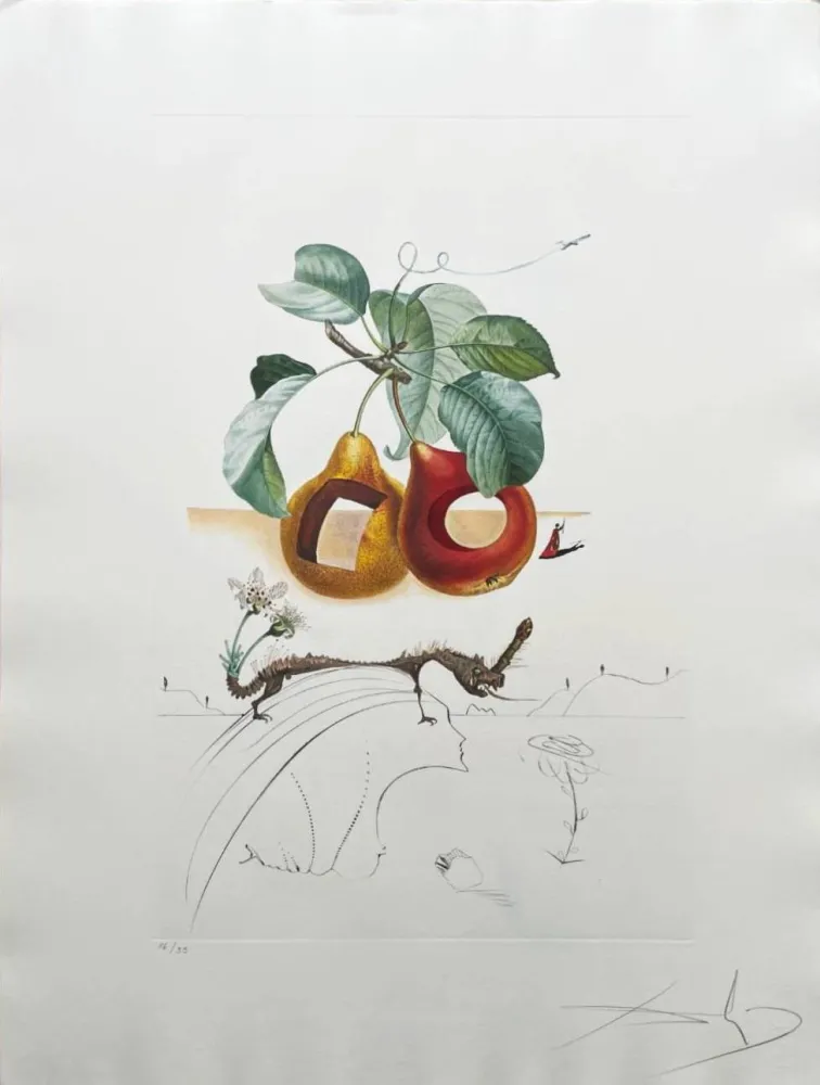 Lithografie Dali - Holed Fruit from Flordali suite