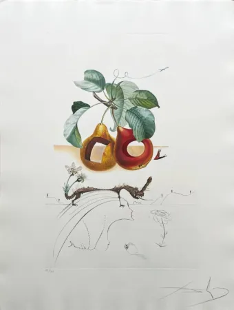 Lithografie Dali - Holed Fruit from Flordali suite