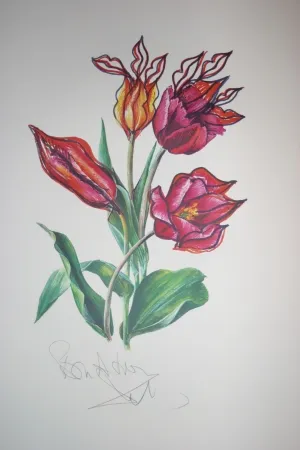Lithografie Dali - Kissing Tulips (surrealistic flowers)