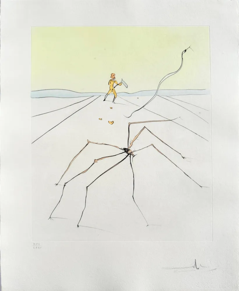 Droge Naald Dali - Kumo (The weaver spider)