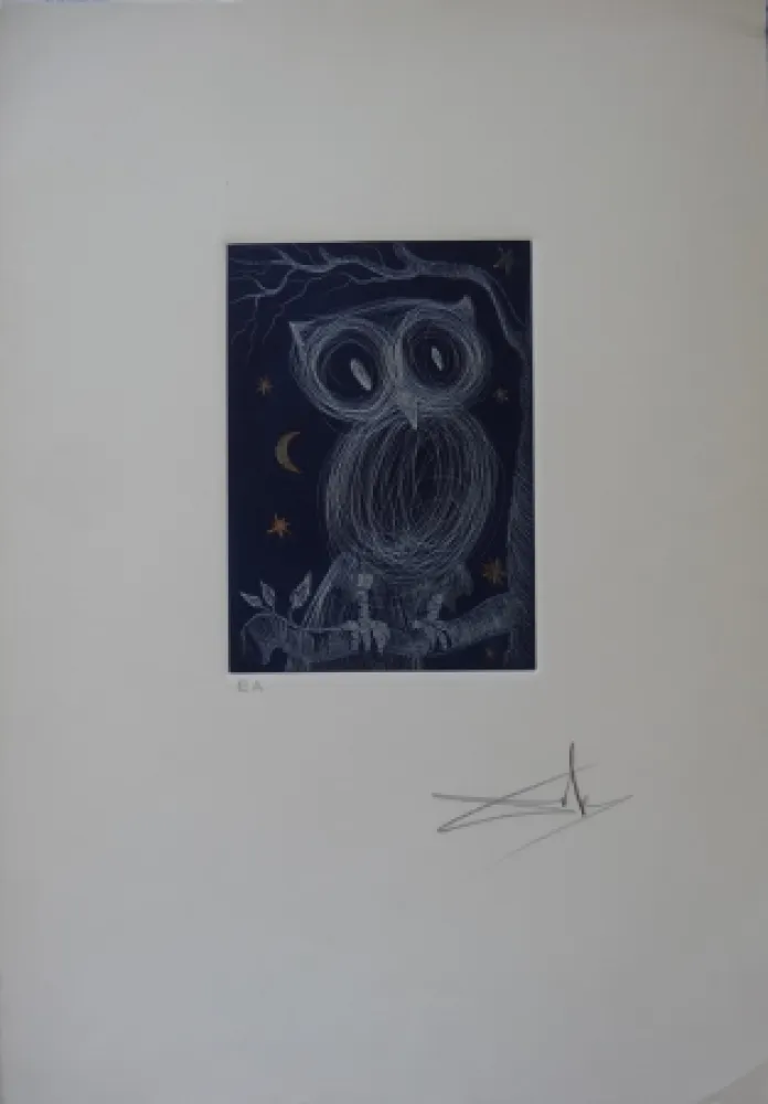 Ets Dali - La petite chouette
