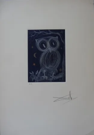 Ets Dali - La petite chouette