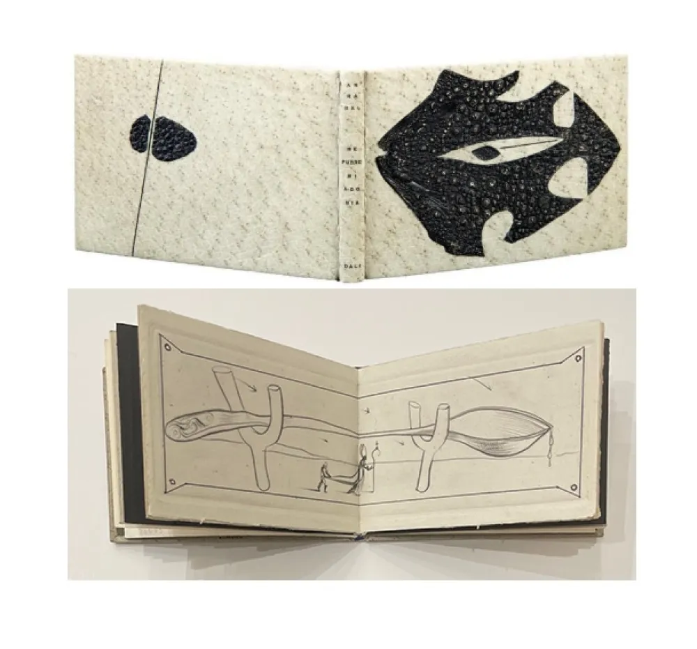 Geïllustreerd Boek Dali - ME PUDRE MI AGONIA