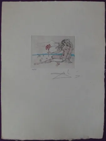 Ets Dali - Nude with rose