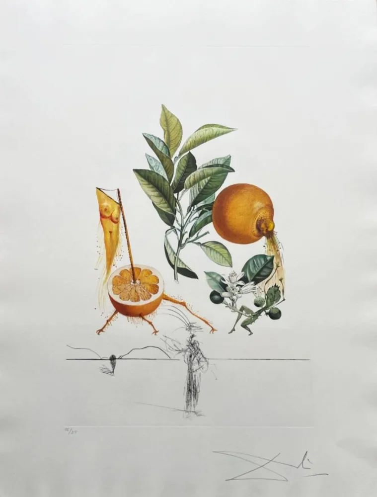 Lithografie Dali - Pamplemousse érotique (Erotic Grapefruit)