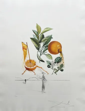 Lithografie Dali - Pamplemousse érotique (Erotic Grapefruit)