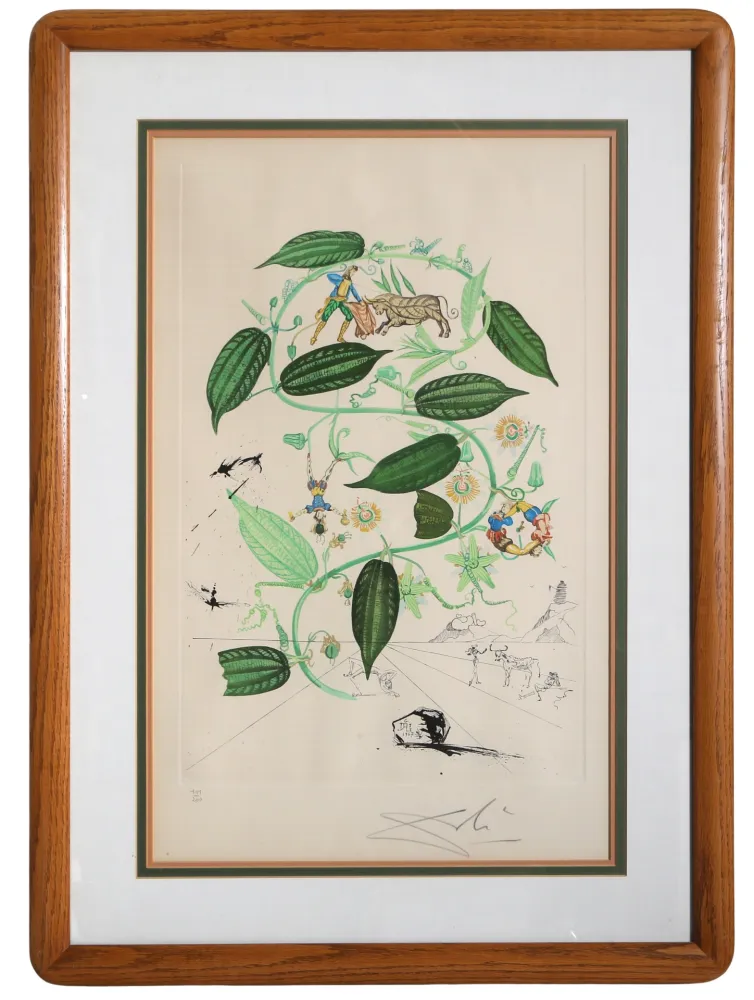 Gravure Dali - Passiflora Laurigera